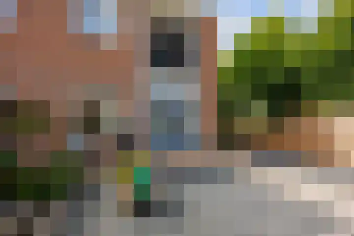Kievitstraat 15 Ten Boer thumbnail 50