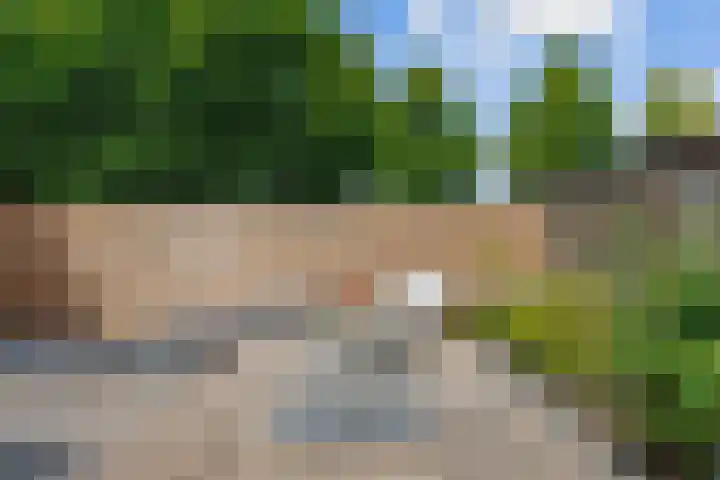 Kievitstraat 15 Ten Boer thumbnail 51