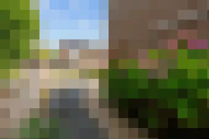 Kievitstraat 15 Ten Boer thumbnail 53