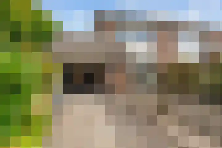 Kievitstraat 15 Ten Boer thumbnail 56