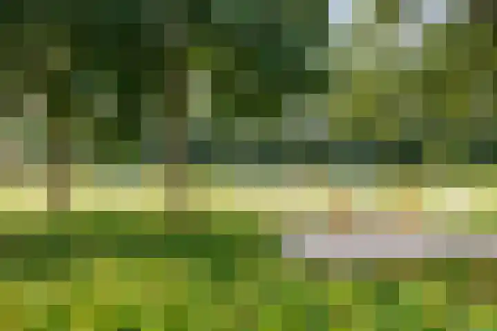 Kievitstraat 15 Ten Boer thumbnail 58