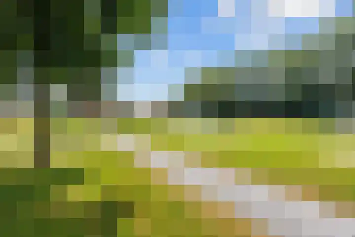 Kievitstraat 15 Ten Boer thumbnail 59
