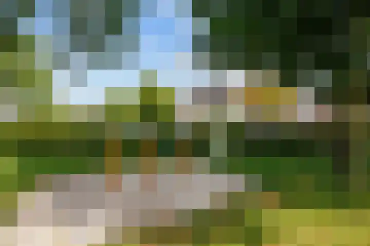 Kievitstraat 15 Ten Boer thumbnail 60
