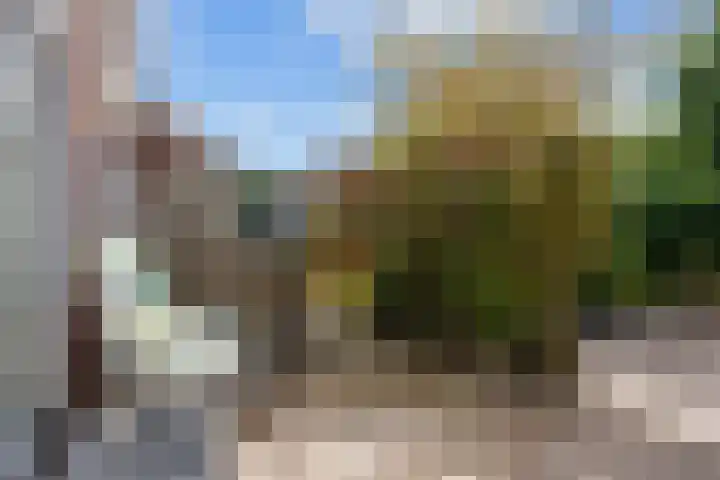 Kievitstraat 15 Ten Boer thumbnail 9