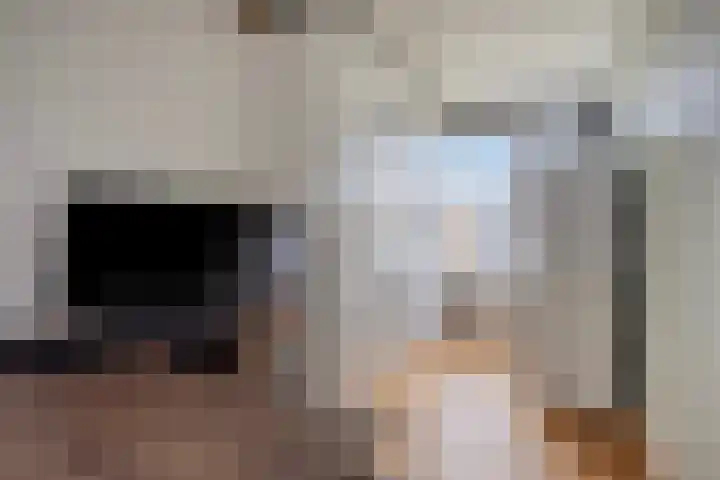 Kievitstraat 15 Wormerveer thumbnail 25