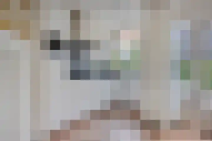 Kievitstraat 17 Breda thumbnail 11