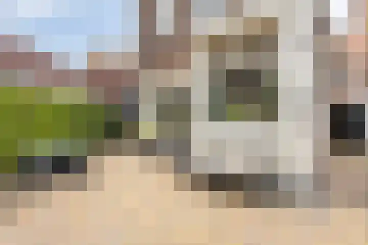 Kievitstraat 17 Breda thumbnail 24