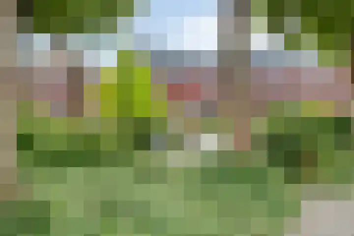 Kievitstraat 17 Breda thumbnail 29