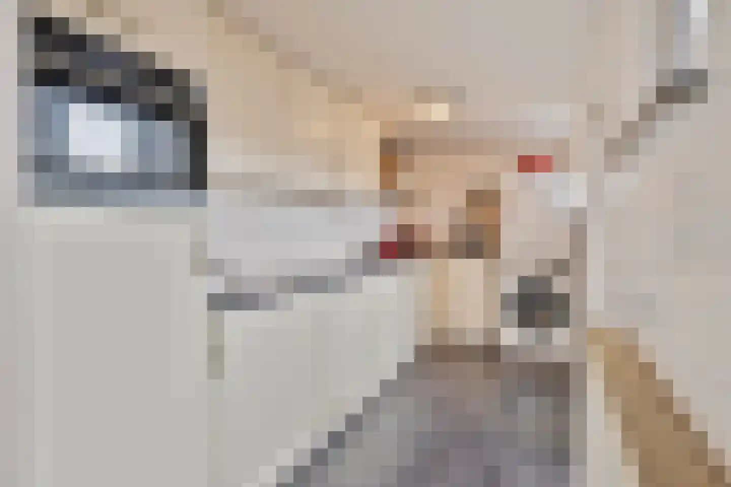 Kievitstraat 17 Tegelen thumbnail 10