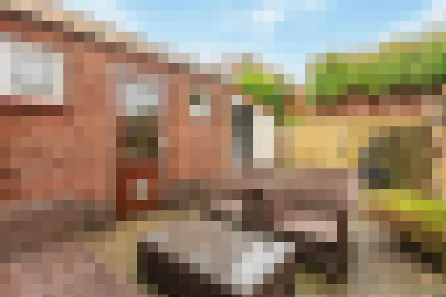 Kievitstraat 17 Tegelen thumbnail 12