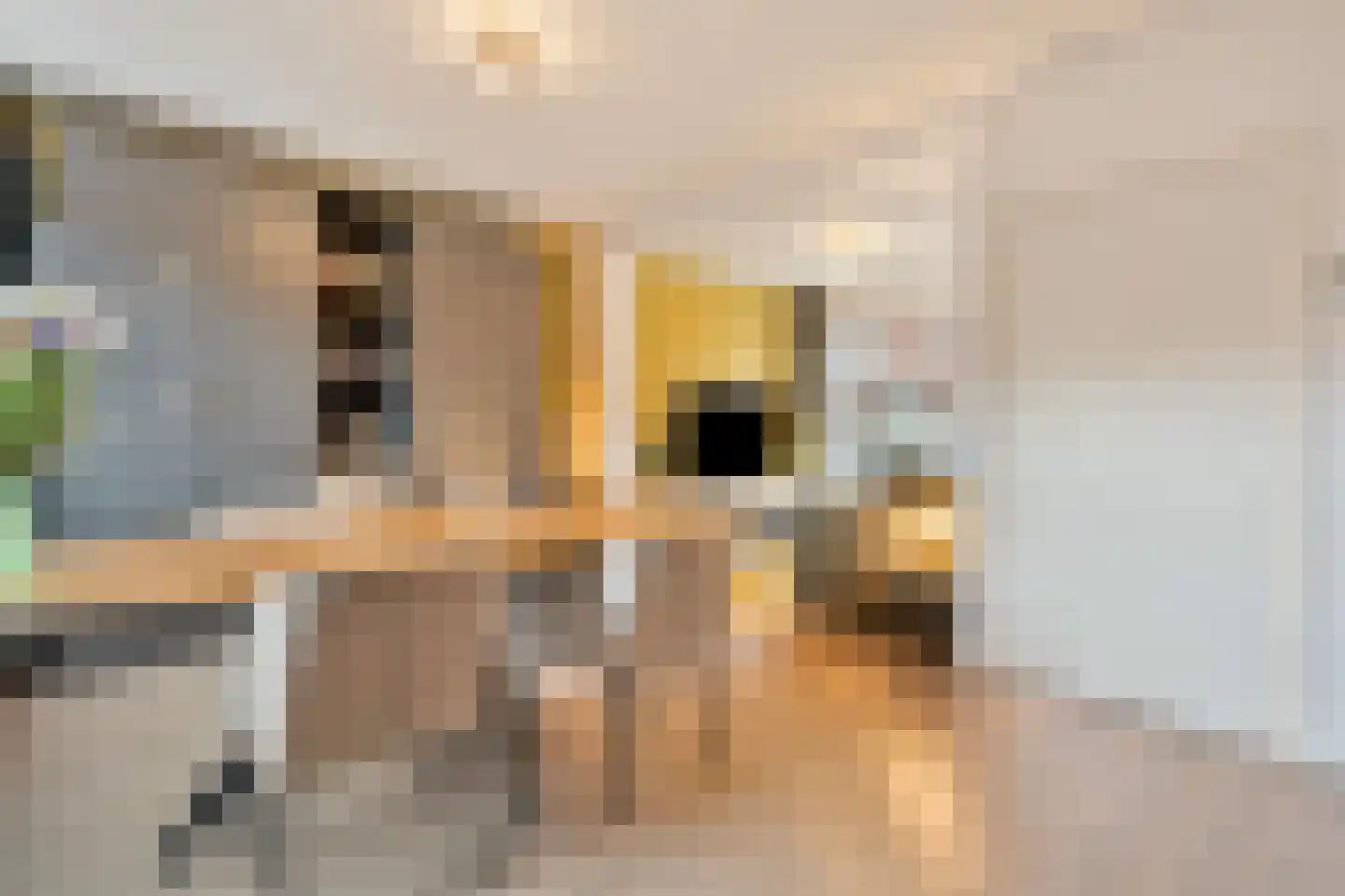 Kievitstraat 17 Tegelen thumbnail 6
