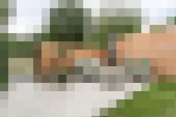Kievitstraat 18 Heerlen thumbnail 21