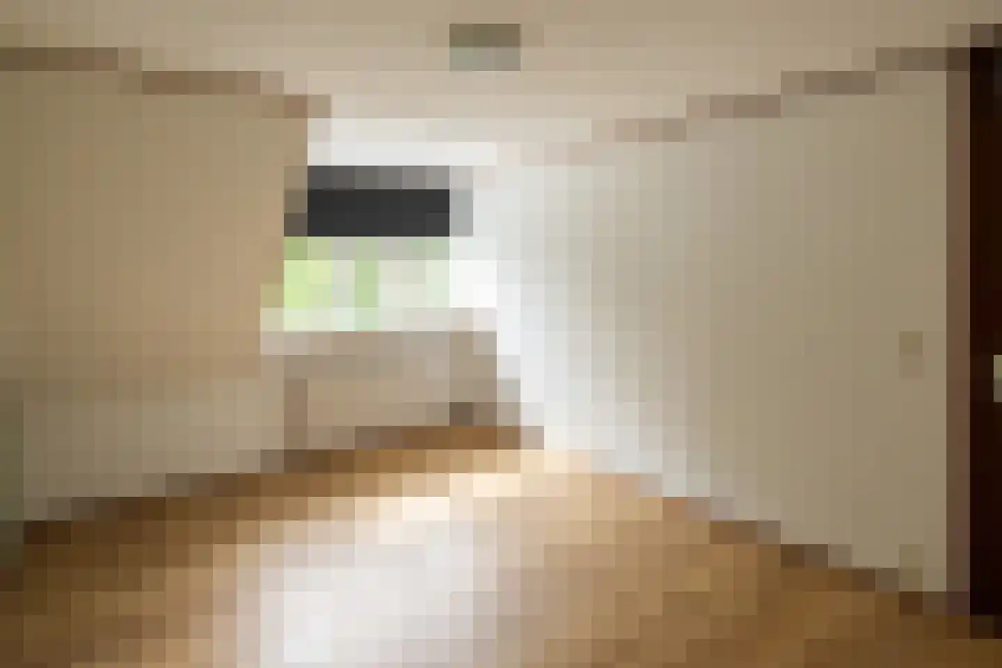 Kievitstraat 18 Overasselt thumbnail 18