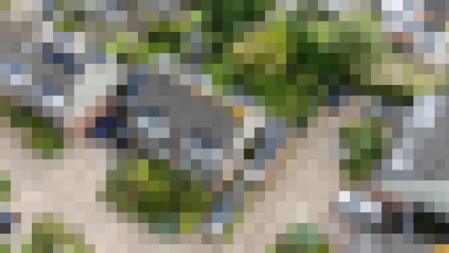 Kievitstraat 18 Overasselt thumbnail 23