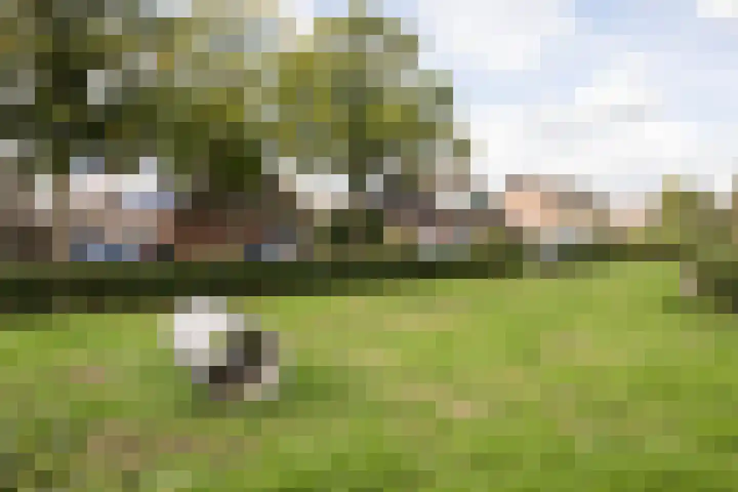 Kievitstraat 18 Overasselt thumbnail 26
