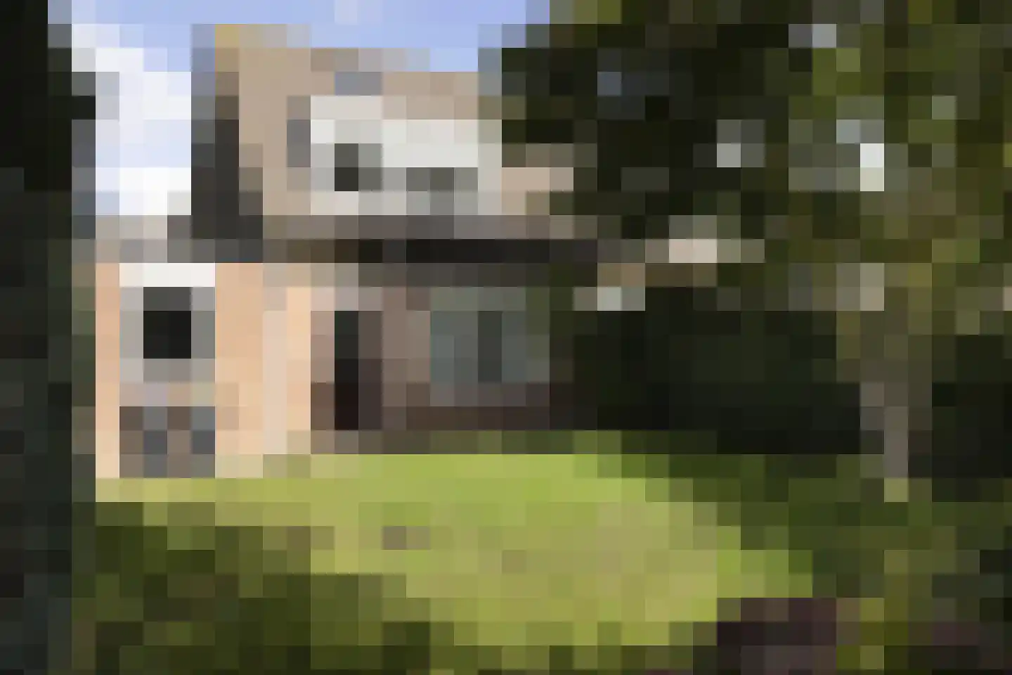 Kievitstraat 18 Overasselt thumbnail 4