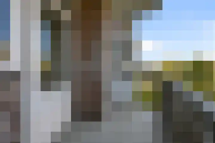 Kievitstraat 18 Wormerveer thumbnail 24