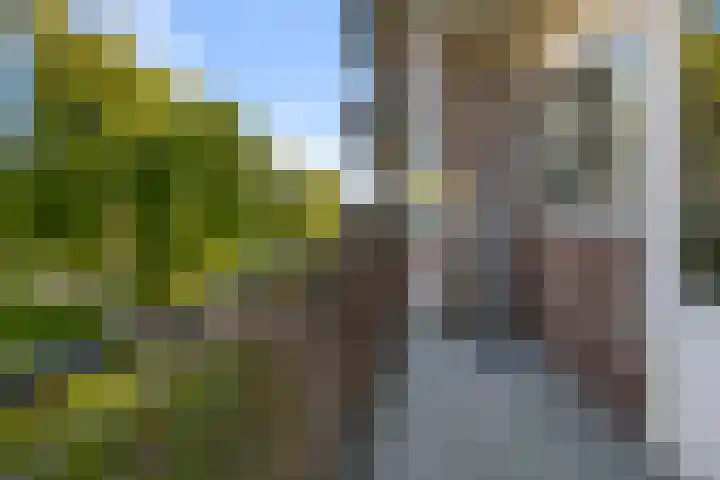 Kievitstraat 18 Wormerveer thumbnail 25