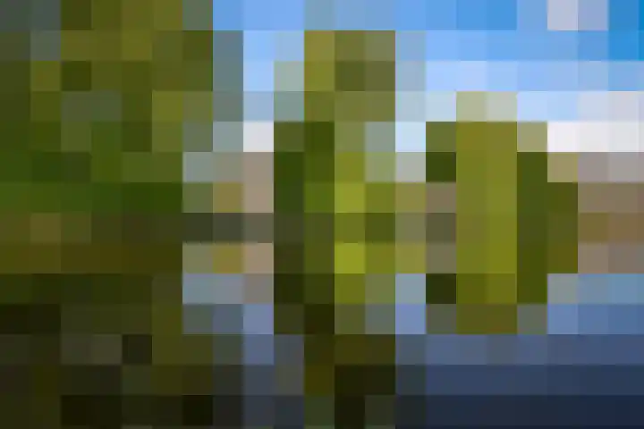 Kievitstraat 18 Wormerveer thumbnail 28