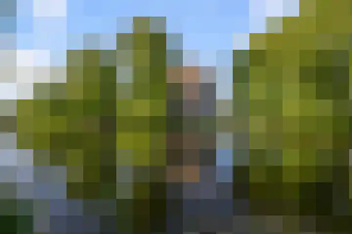 Kievitstraat 18 Wormerveer thumbnail 29