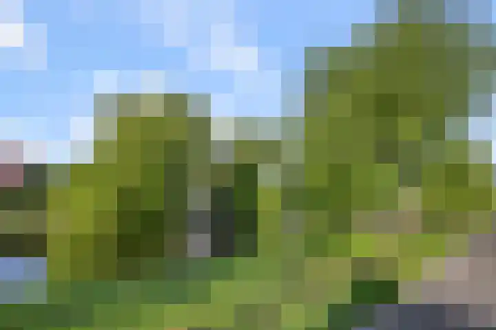 Kievitstraat 18 Wormerveer thumbnail 30