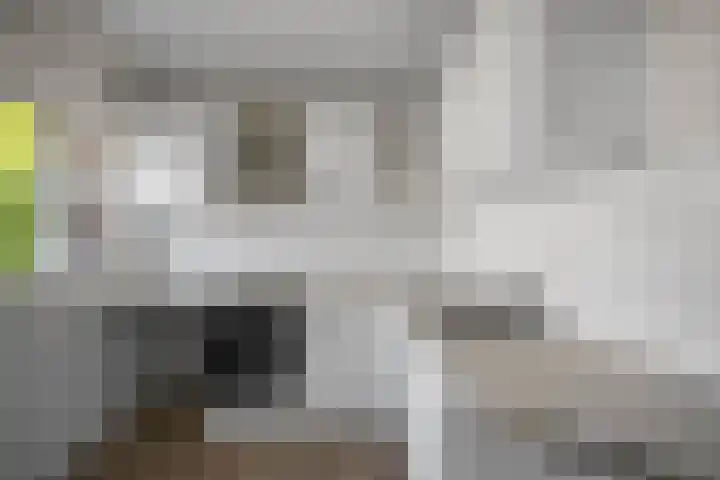 Kievitstraat 18 Wormerveer thumbnail 8