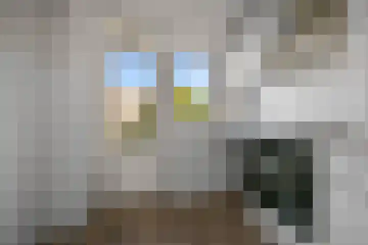 Kievitstraat 18 Wormerveer thumbnail 9