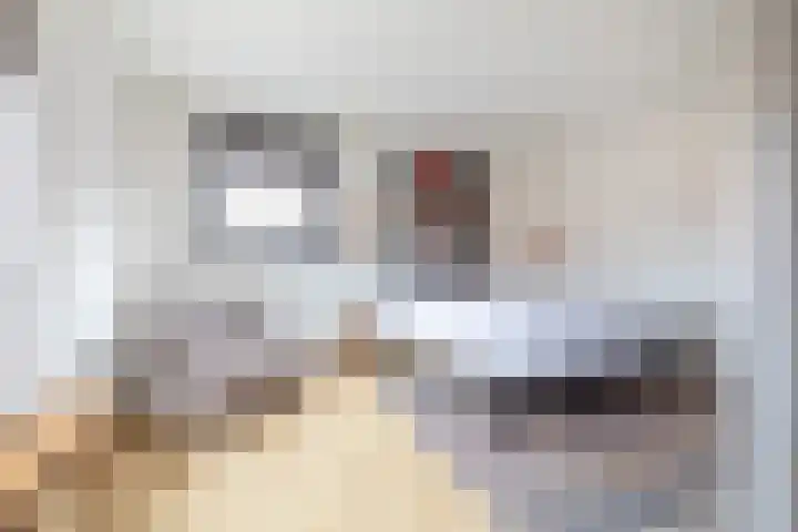 Kievitstraat 19 Breda thumbnail 19