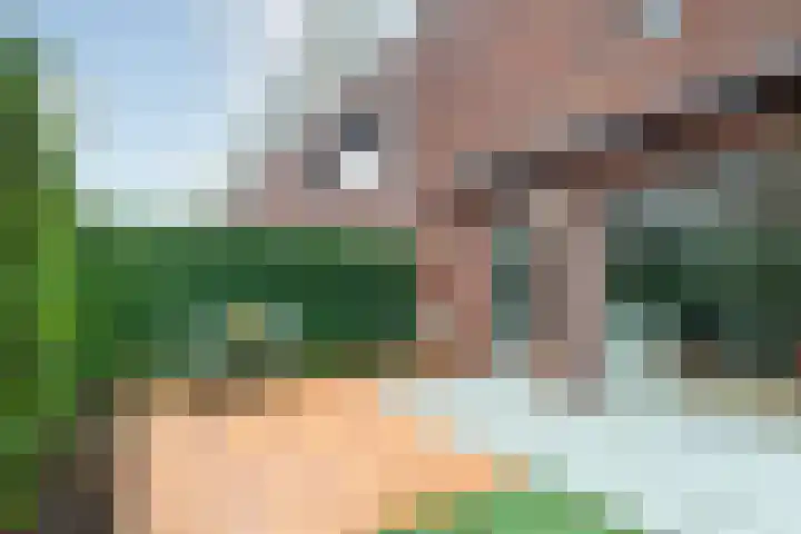 Kievitstraat 19 Breda thumbnail 27