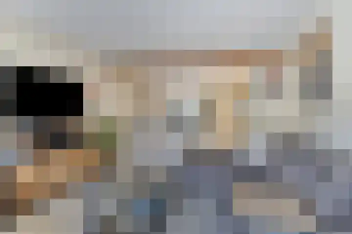 Kievitstraat 19 Geldrop thumbnail 10
