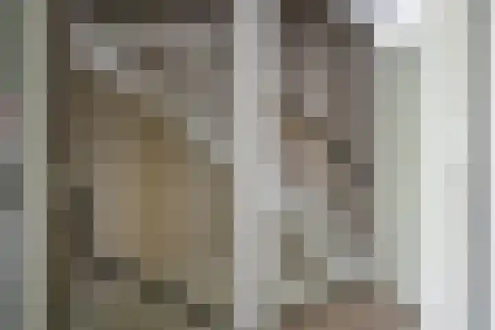 Kievitstraat 19 Geldrop thumbnail 16