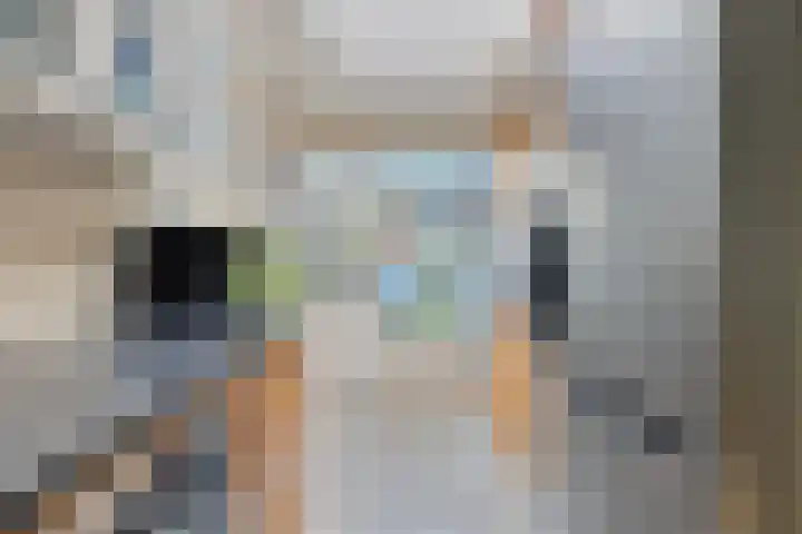 Kievitstraat 19 Geldrop thumbnail 19