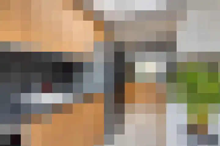 Kievitstraat 19 Geldrop thumbnail 22