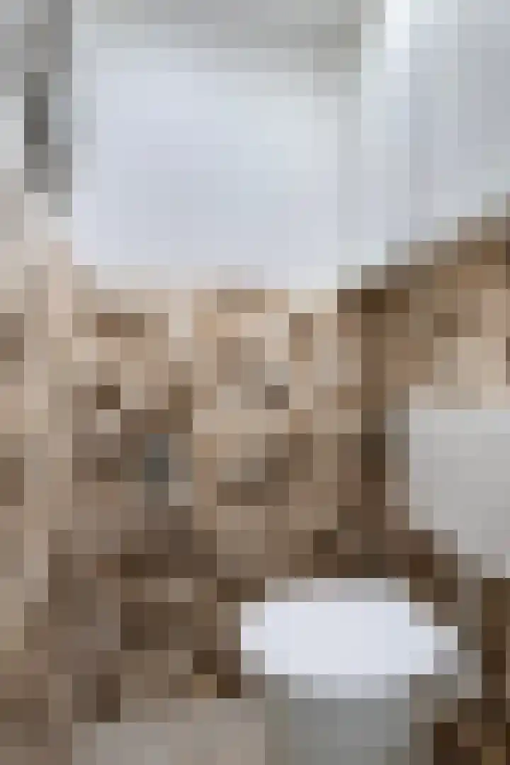 Kievitstraat 19 Geldrop thumbnail 23