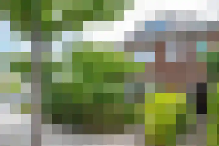 Kievitstraat 19 Geldrop thumbnail 24