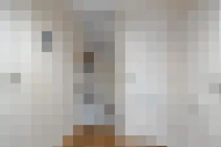 Kievitstraat 19 Geldrop thumbnail 25