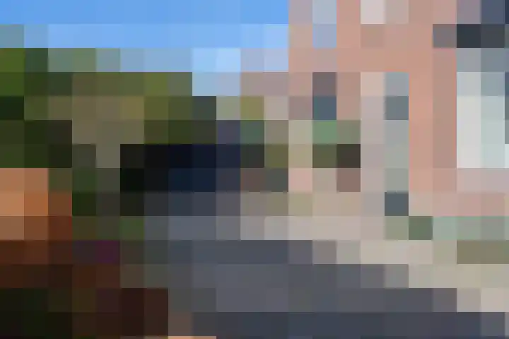 Kievitstraat 19 Geldrop thumbnail 26