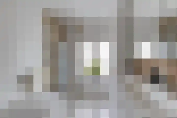Kievitstraat 19 Geldrop thumbnail 27
