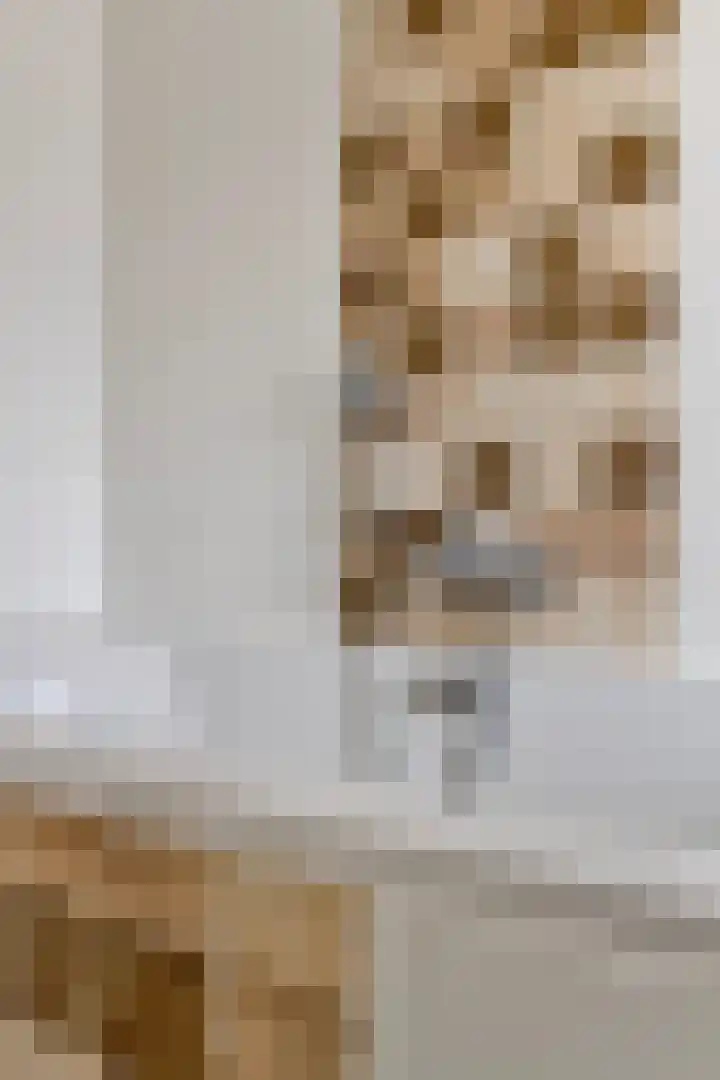 Kievitstraat 19 Geldrop thumbnail 29