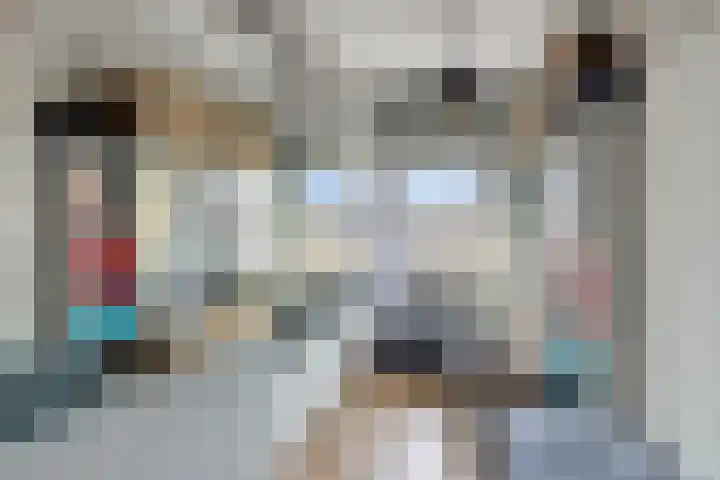 Kievitstraat 19 Geldrop thumbnail 32