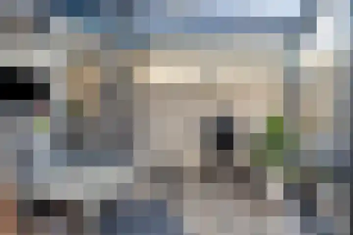 Kievitstraat 19 Geldrop thumbnail 36