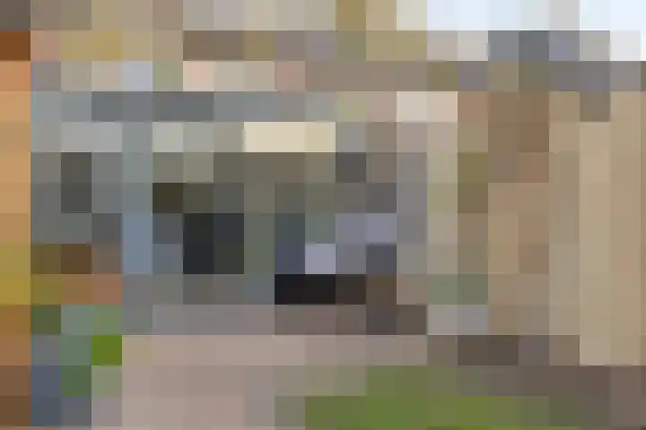 Kievitstraat 19 Geldrop thumbnail 39