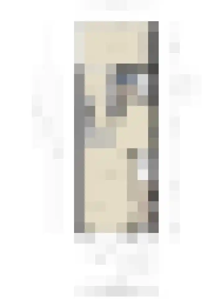 Kievitstraat 19 Geldrop thumbnail 42