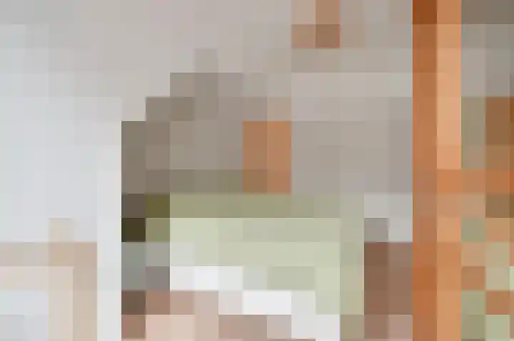 Kievitstraat 19 Geldrop thumbnail 8
