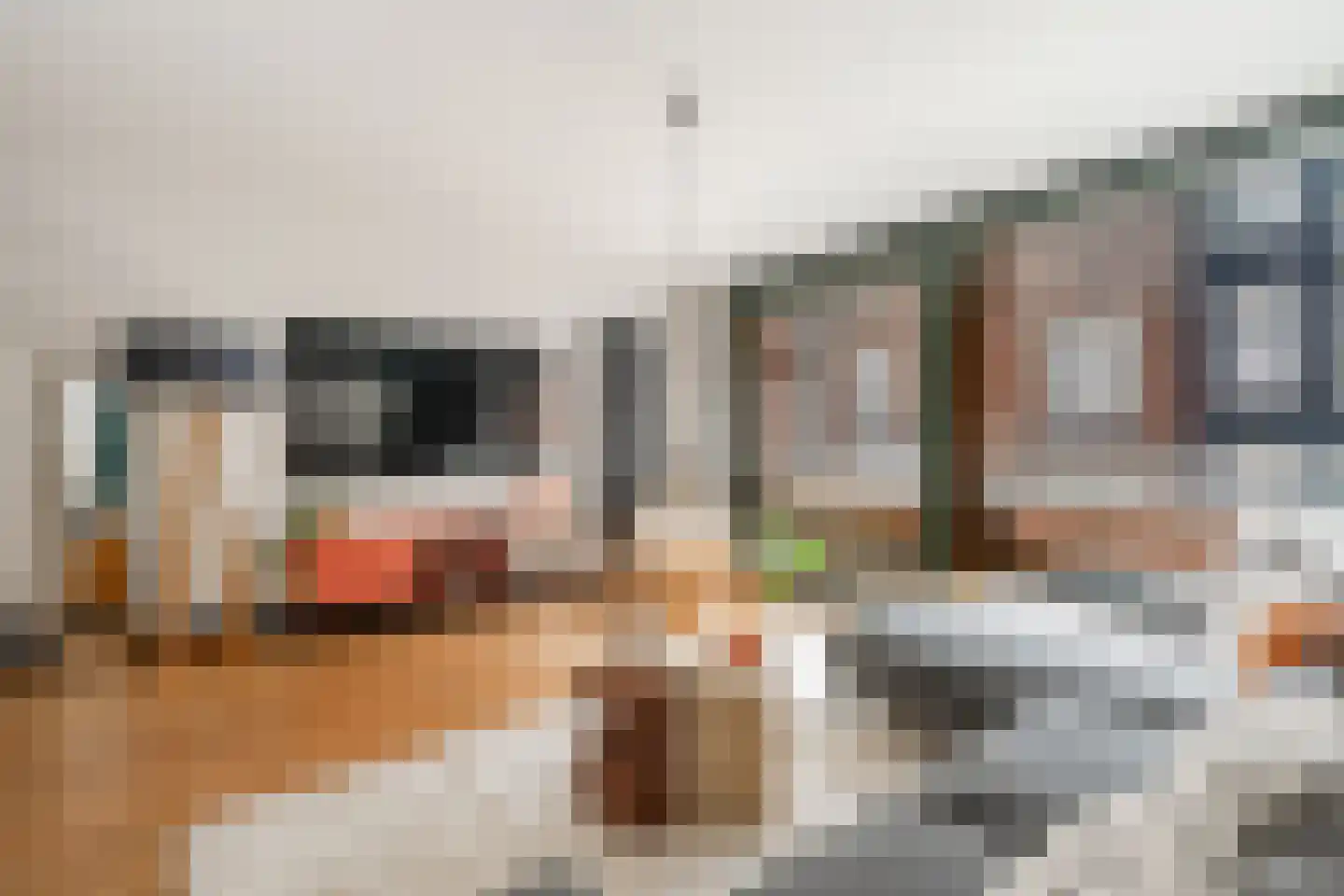 Kievitstraat 19 Geldrop thumbnail 9