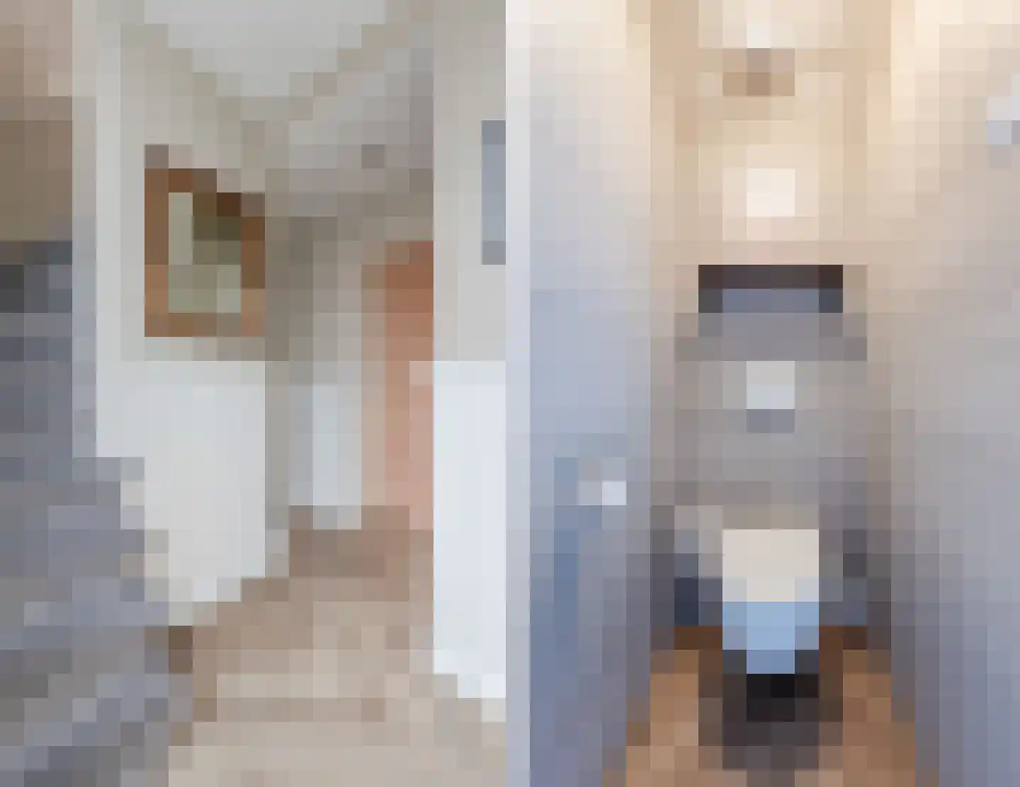 Kievitstraat 2 A Geldrop thumbnail 10
