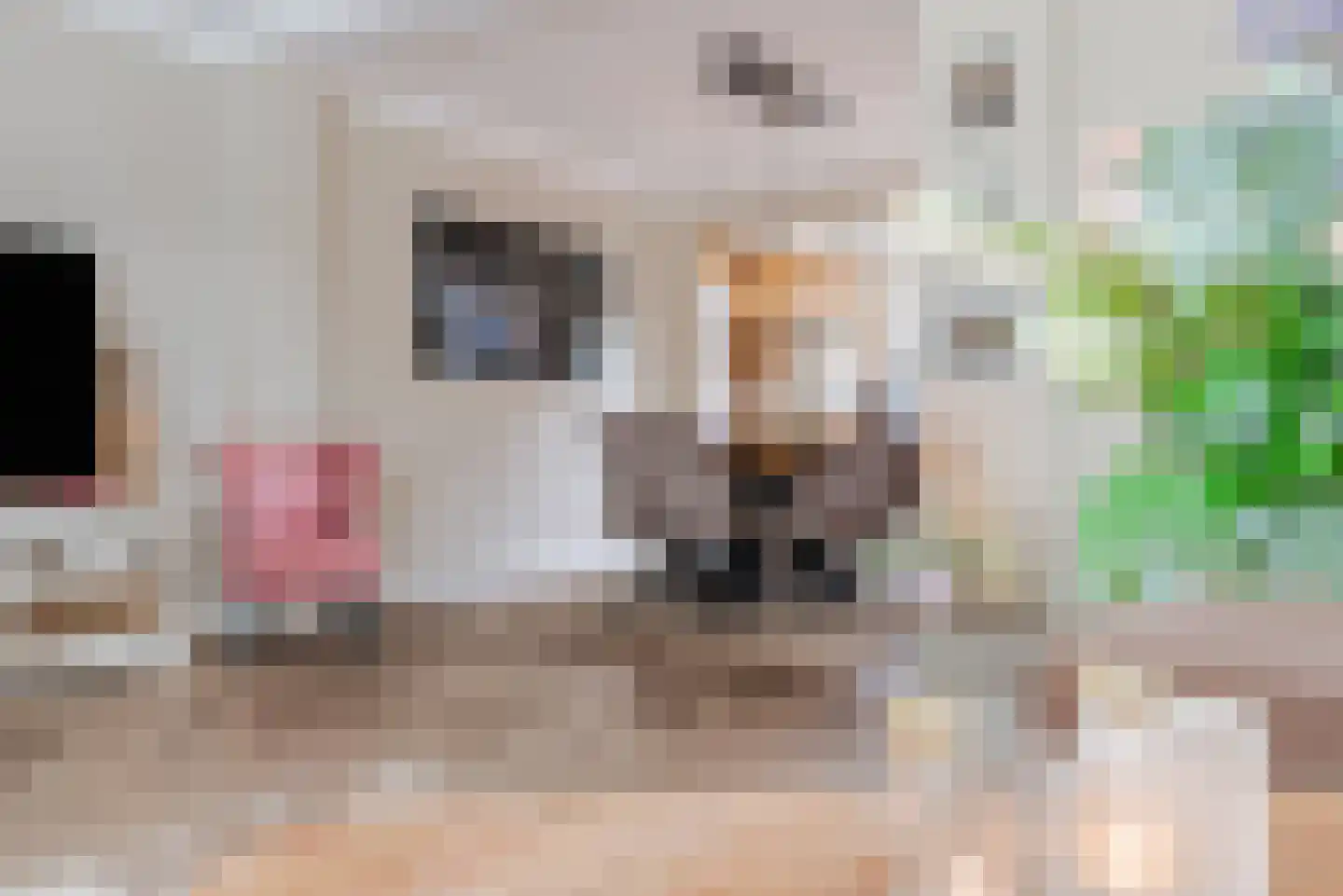 Kievitstraat 2 A Geldrop thumbnail 13