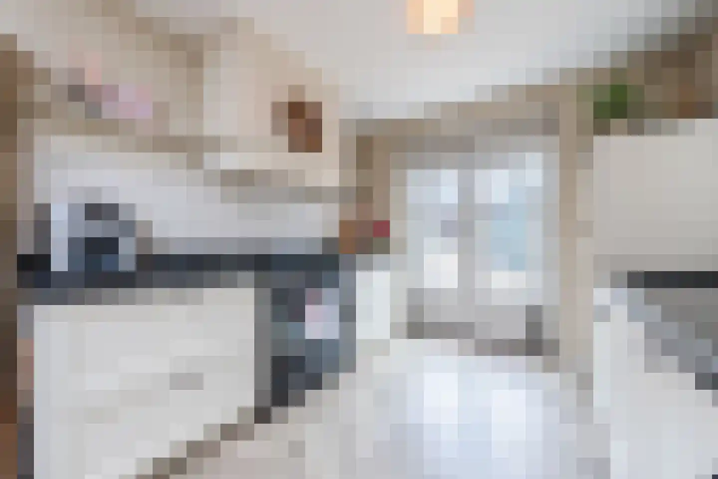 Kievitstraat 2 A Geldrop thumbnail 17