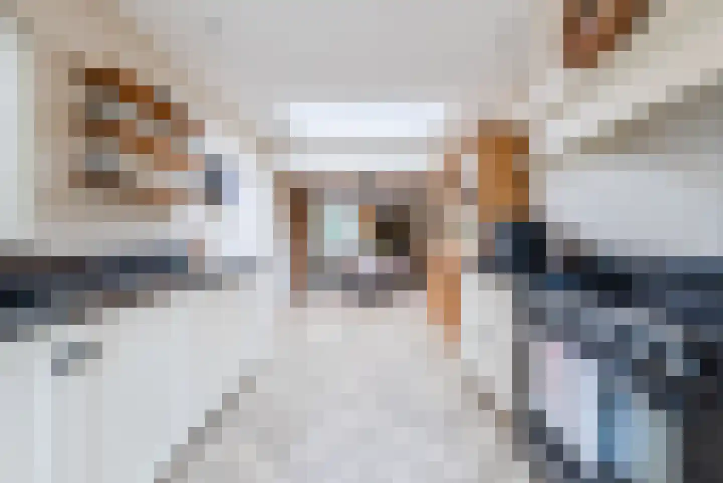 Kievitstraat 2 A Geldrop thumbnail 21
