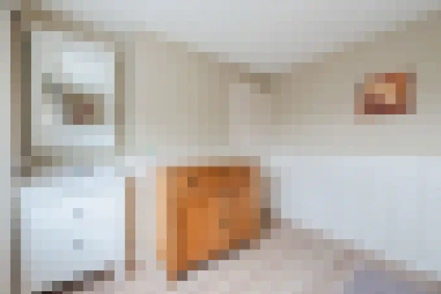 Kievitstraat 2 A Geldrop thumbnail 28